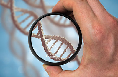 photo of person examining dna up close