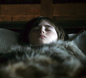 bran_starke