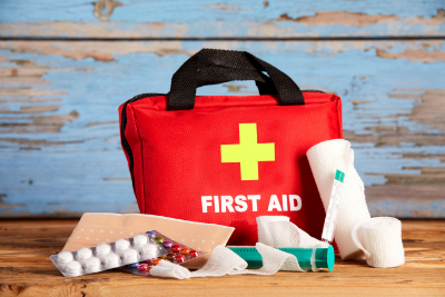 image of first aid bag and contents